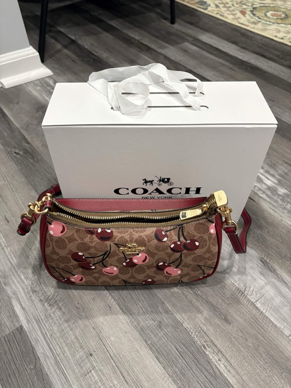 Coach Cherry Print Signature Cherry Crossbody in Brown & Pink